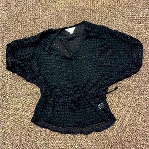 Sheer Blouse